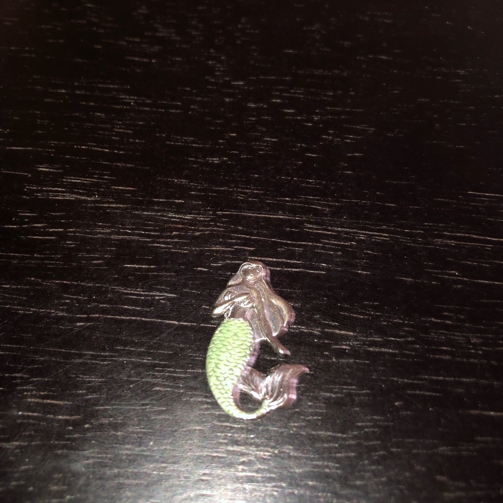Magical Mermaid Charm